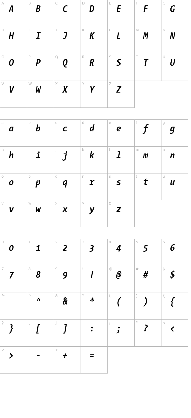 TheSansMonoCondensed Bold Italic character map