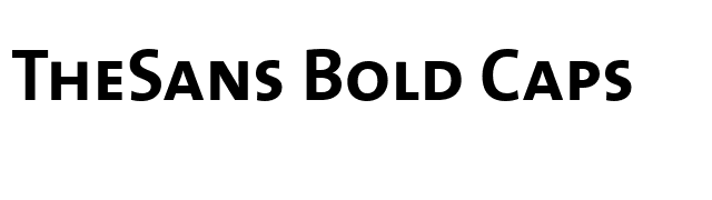 TheSans Bold Caps font preview