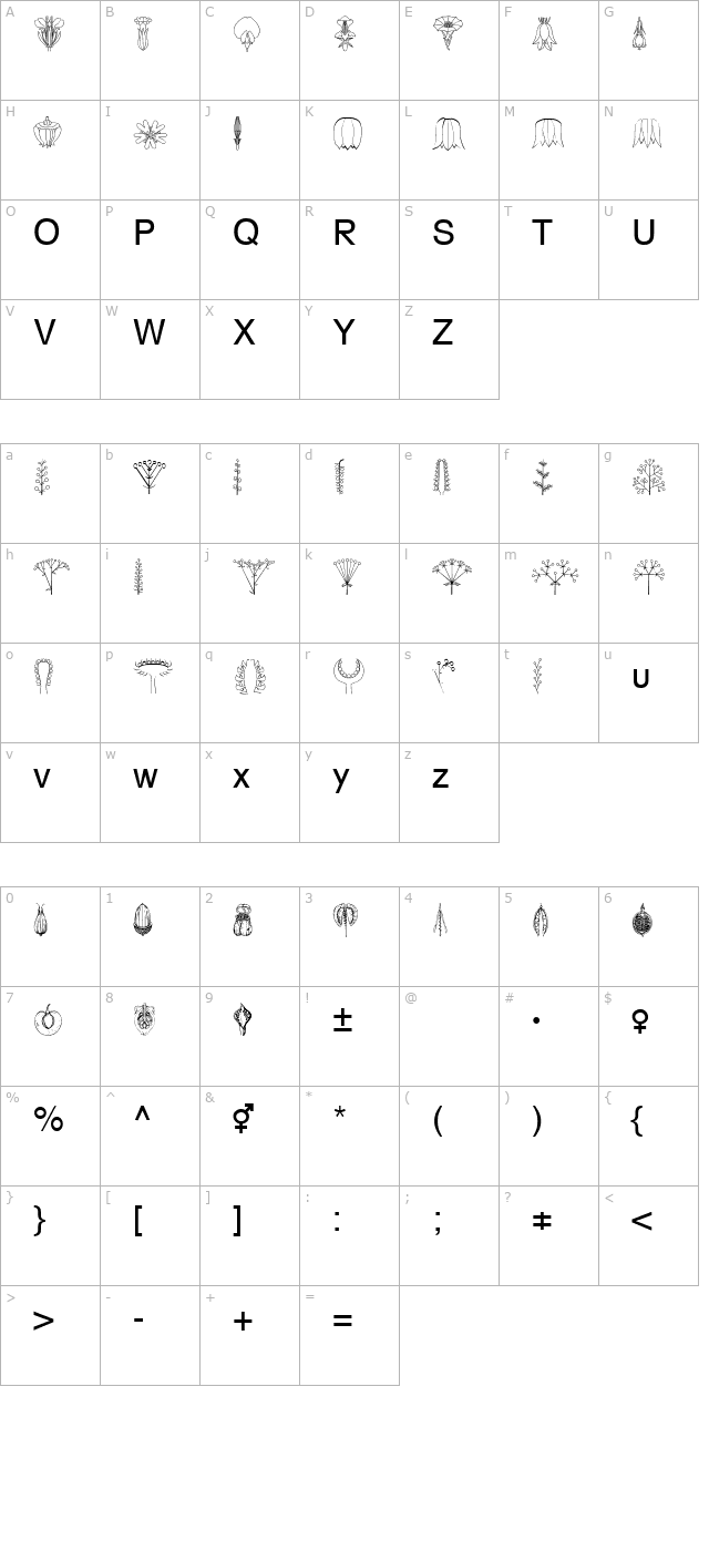 BioFlower Becker character map