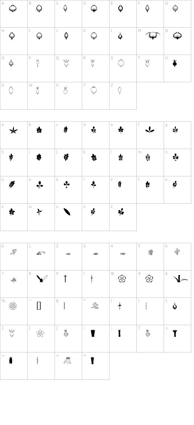 BOTAROSA1 character map