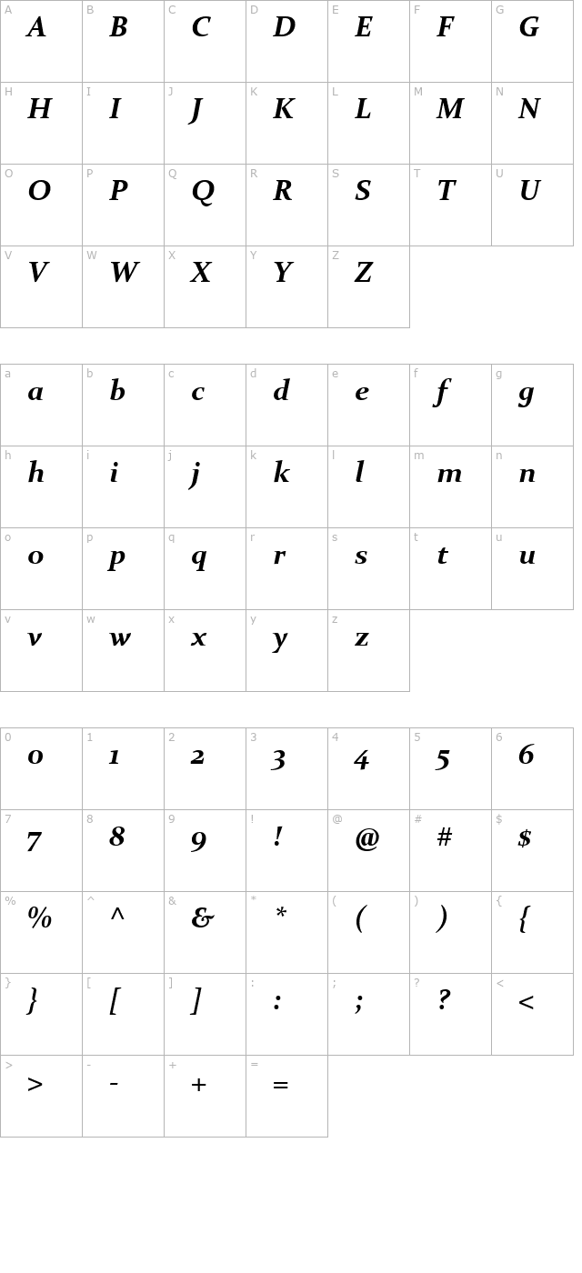 constantia-bold-italic character map