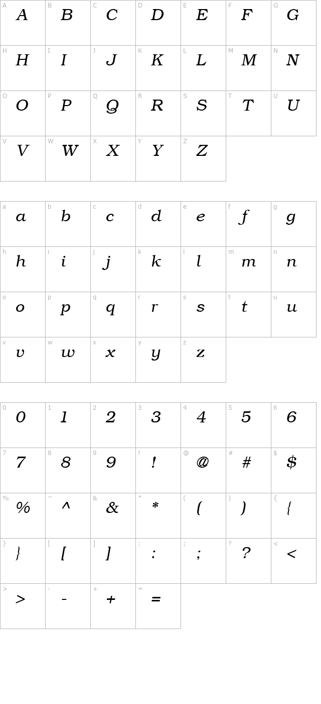 ER Bukinist KOI 8 Italic character map