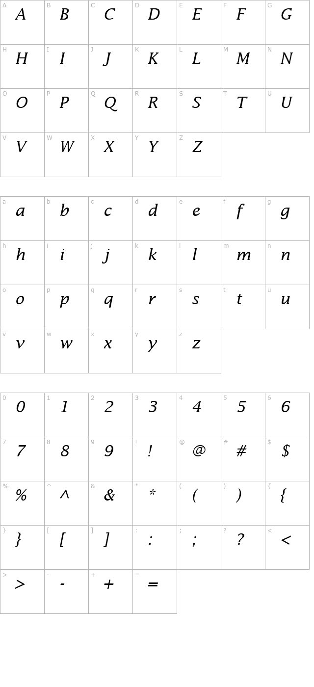 Insight SSi Italic character map