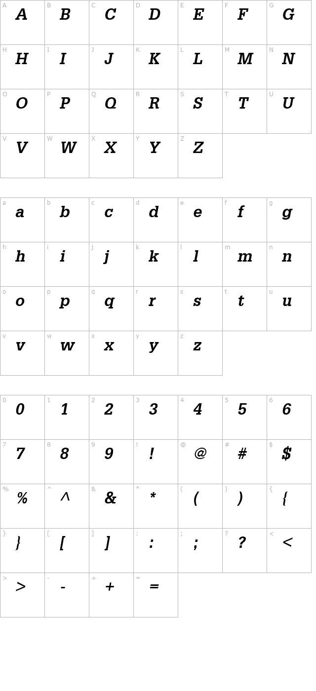 Installation SSi Bold Italic character map