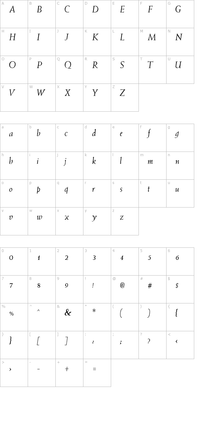 QTWeise Italic character map