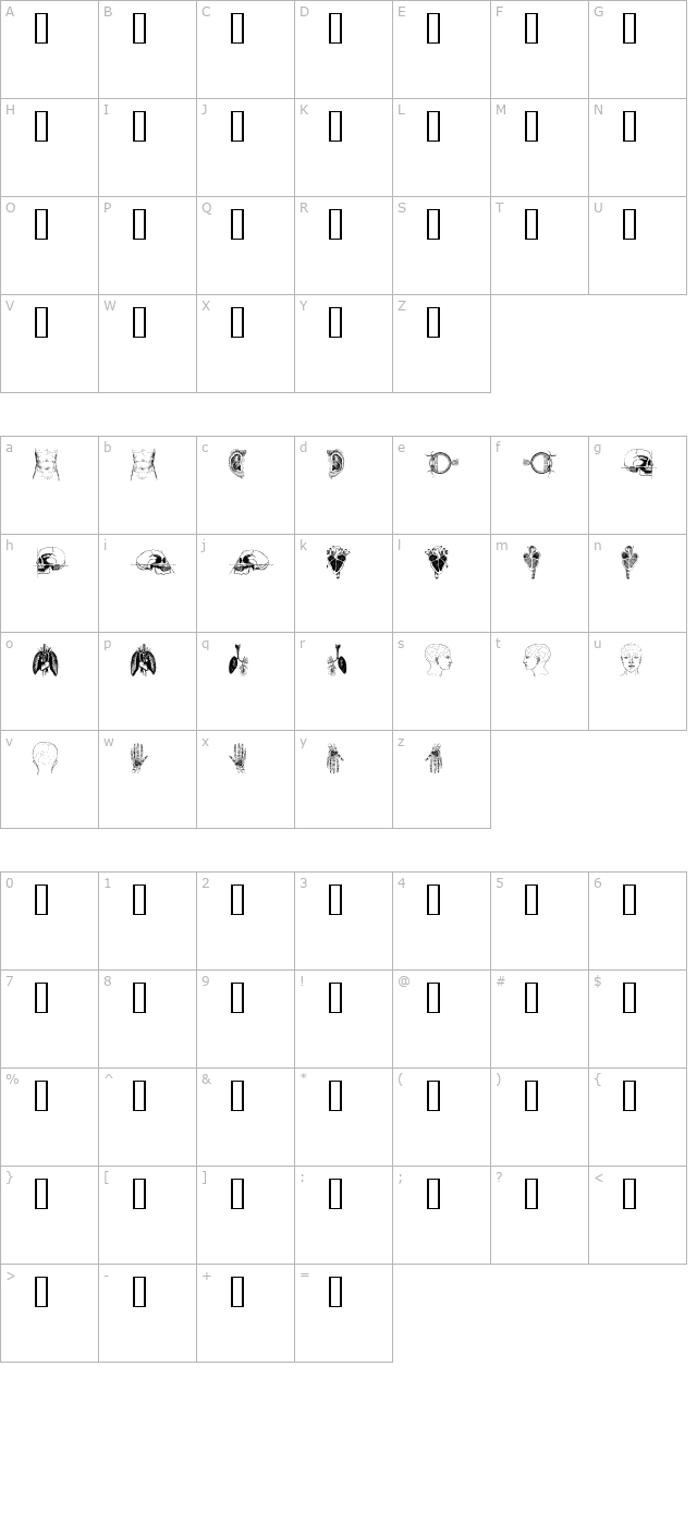 the-body-vol-i character map