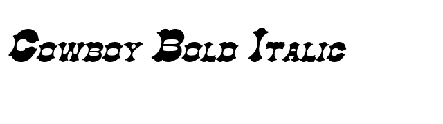 Cowboy Bold Italic font preview