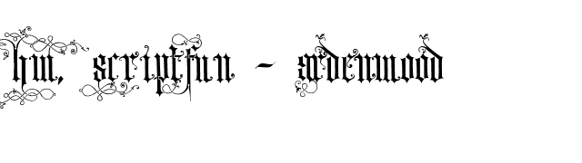 HW, ScriptFun - Ardenwood font preview