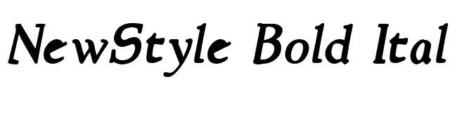 NewStyle Bold Italic font preview