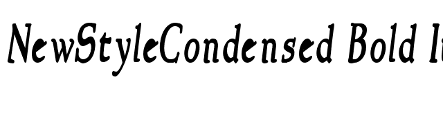 NewStyleCondensed Bold Italic font preview