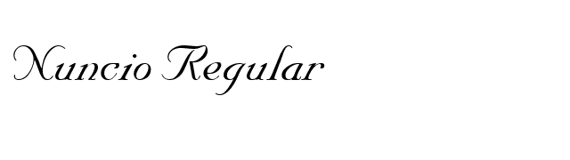 Nuncio Regular font preview