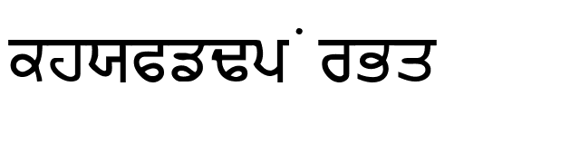 Punjabi Bold font preview