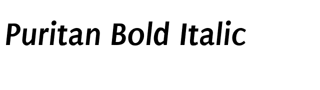 Puritan Bold Italic font preview