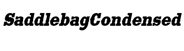 SaddlebagCondensed Italic font preview