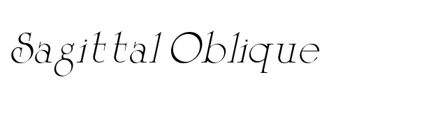 Sagittal Oblique font preview