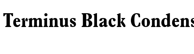 Terminus Black Condensed SSi Bold Condensed font preview