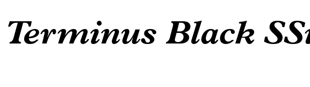 Terminus Black SSi Bold Italic font preview