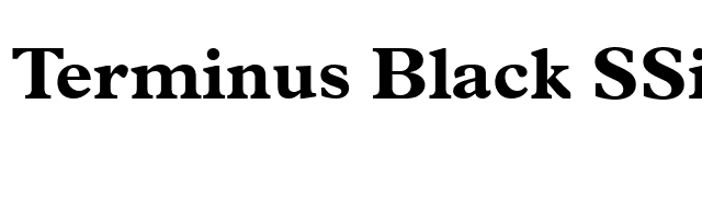 Terminus Black SSi Bold font preview