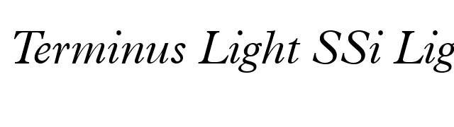 Terminus Light SSi Light Italic font preview
