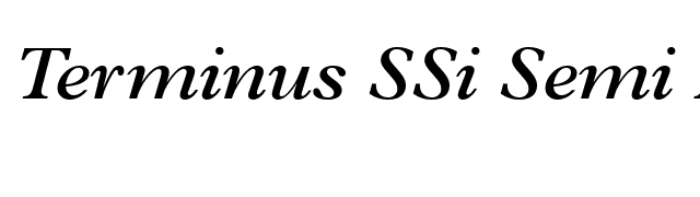 Terminus SSi Semi Bold Italic font preview