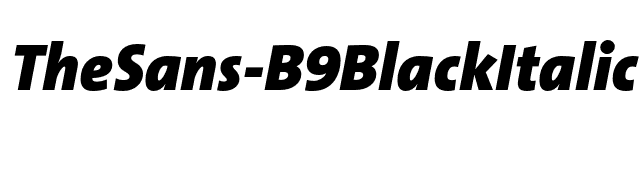 TheSans-B9BlackItalic font preview