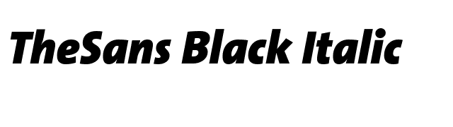 TheSans Black Italic font preview