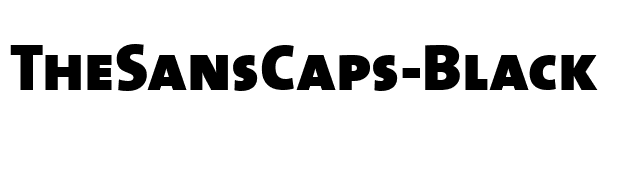 TheSansCaps-Black font preview