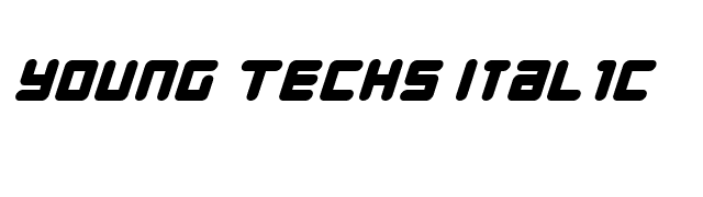 Young Techs Italic font preview